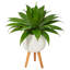 Plante grasse artificielle 33 po en pot