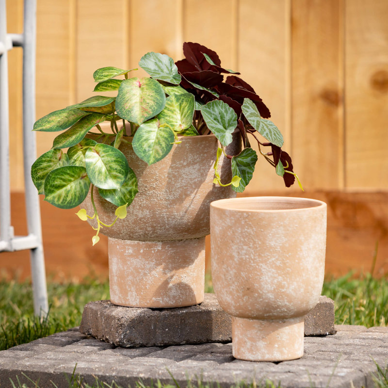 Harter Pot Planter - Set of 2, 8.25" H x 8" W x 8" D