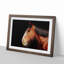 Brown Shire Horse in Abstract - Picture Frame Graphic Art Print-55681223-55681224