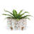 Scalamandre Handmade Pot Planter