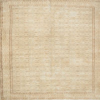 Oriental Indoor Rug