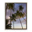 Cadre flottant Bohol Island Palms, design par Danita Delimont-1341754982-1341754985