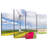 Lilie Wind Turbines And Tulip Fields-108899033