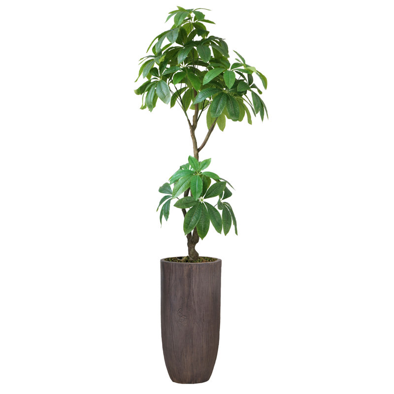 Pachira aquatica artificiel Panama en pot, H 94,25 po x l 32 po x P 32 po