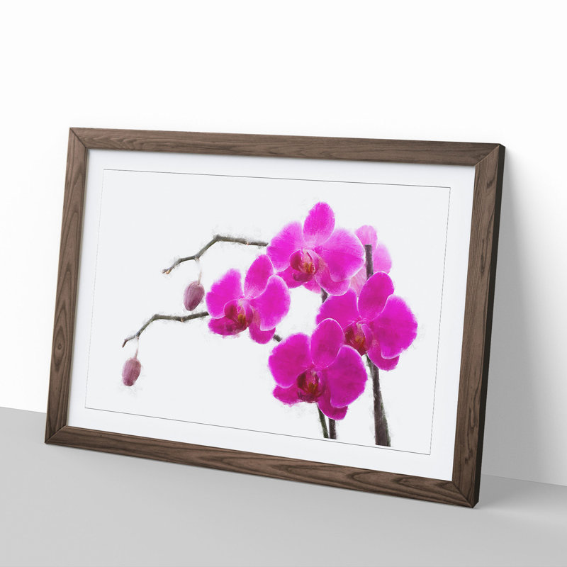 Orchid Flowers Vol.2 - Framed Print, 36cm H x 48cm W x 2cm D, Walnut Framed