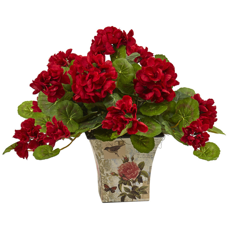 Geranium Arrangement in Planter