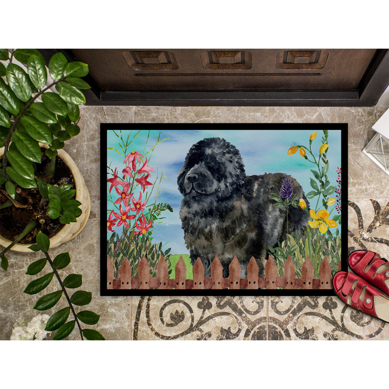 Tapis de porte pour l’extérieur antidérapant, Rectangulaire : 18 po x 27 po
