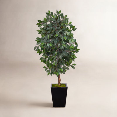 Faux Ficus Tree in Clay Planter