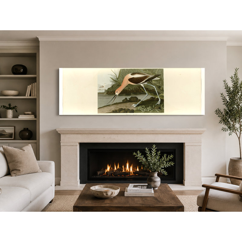 American Avocet (1838) - Art mural sur toile panoramique, 30" W x 10" H