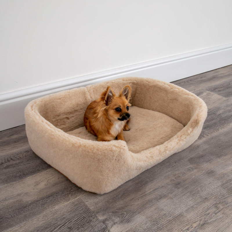 Azaiah Fleece Pet Bed, Cappucino, 10cm H x 60cm W x 40cm D