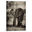 «Awesome South America Series», reproduction de photo verticale sur toile tendue-72690953-72690949-72690950