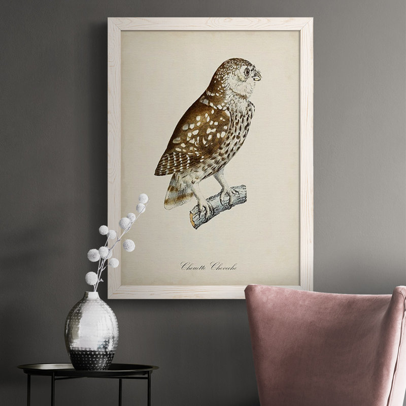 Lunde French Owls I - Reproduction de photo sur toile simple, H 43,5 po x l 31,5 po x P 1 po, Cadre blanc