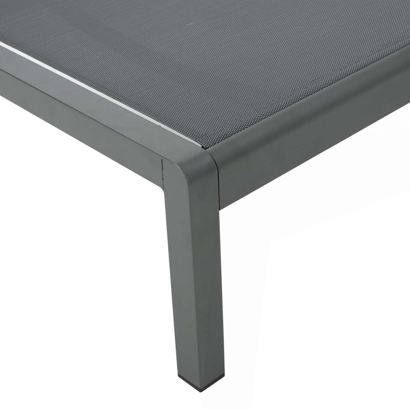 Chaise longue, ensemble de 2, pour l'extérieur, Gris, 2