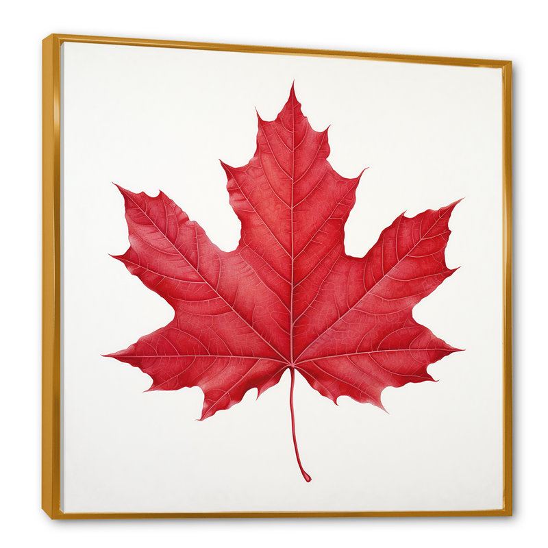 Feuille d'érable écarlate Simplicity II, H 30 po x l 30 po x P 1 po, Cadre flottant doré