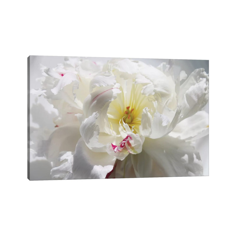 Breathless III by Irena Orlov - Wrapped Canvas Gallery-Wrapped Canvas Giclée, 20.32 cm H x 30.48 cm W