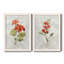 Lin géranium - ensemble de 2 reproductions d'art-1254695839-1254695853-1254695854