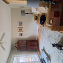 Langley Street Lineberger Hand Tufted Wool Floral Rug & Reviews ...