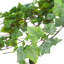 Ivy In Glass Vase With Grass