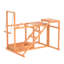 Chicken Activity Play Swing Set With Chicken Perches Hen Ladder