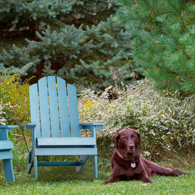 Amada Outdoor Adirondack Chair