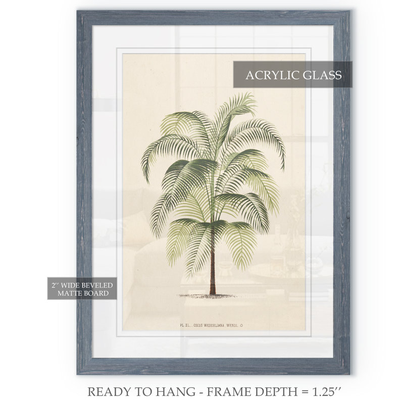« palmierss iii » par paul cezanne-reproduction d’art sur image, H 16 po x l 22 po x P 1 po, Impression avec cadre gris