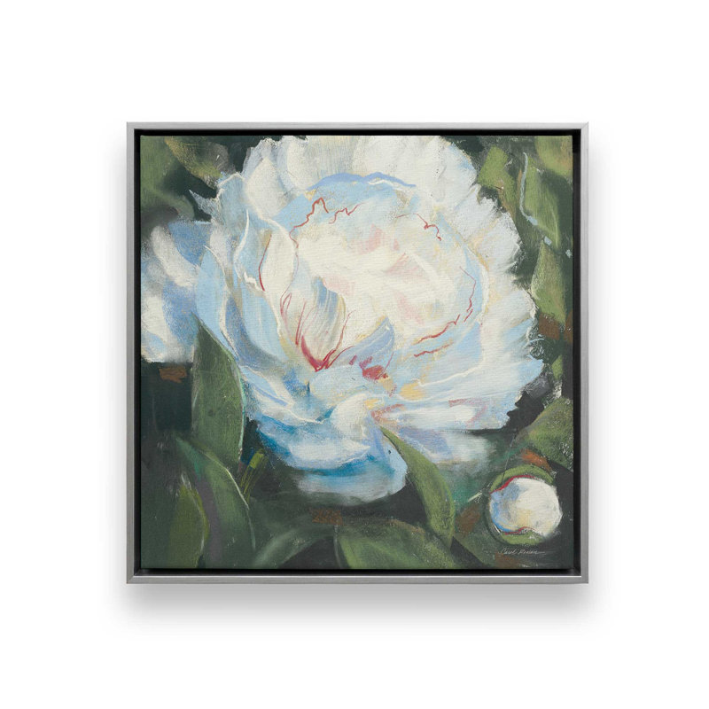 «Peony I» par Carol Rowan, reproduction d'art sur toile, H 36 po x l 36 po, Cadre flottant, Argent argent