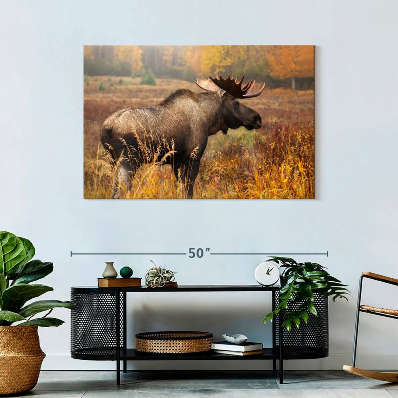 Crowle Mighty Alaskan Moose, H 30 po x l 45 po