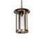 12" Wide Fulton Prime Pendant