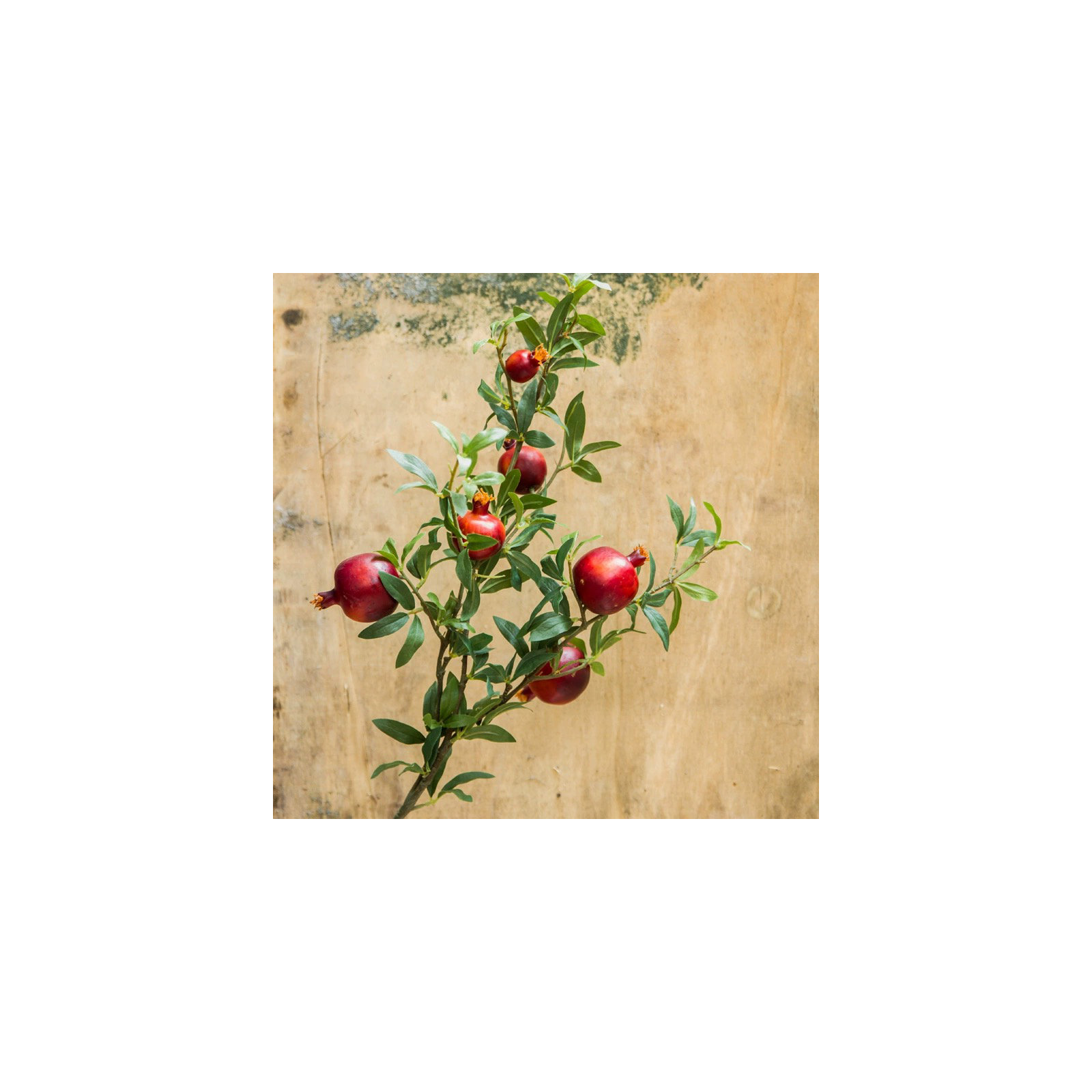Big Fruit Faux Pomegranate Stem 32" Tall, Red