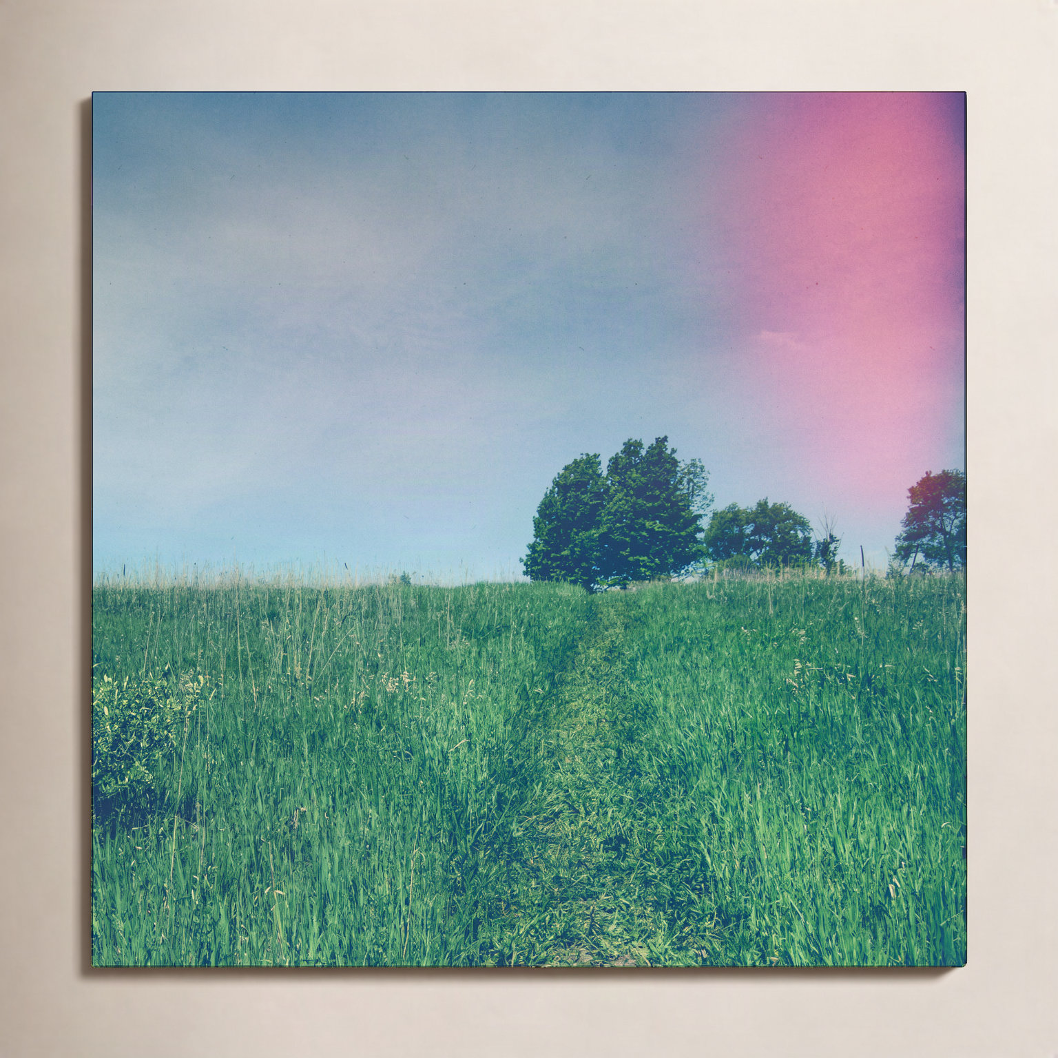 Summer Solstice by Olivia St Claire, 36" W x 36" H, Gold Floater Framed, No
