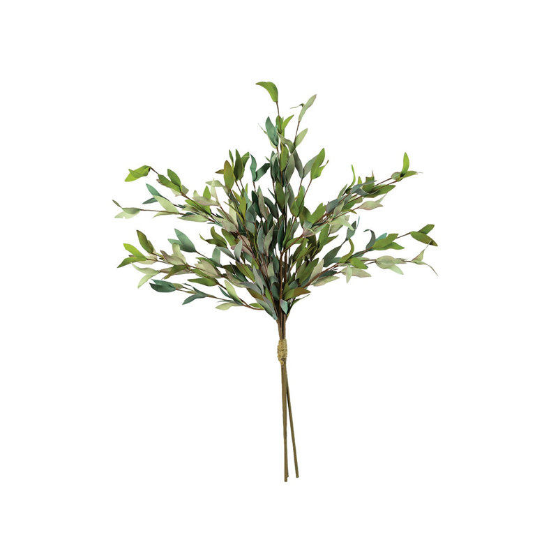 BOTANICA # 2397