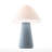 MUSHROOM Rechargeable Cordless LED Table Lamp, 3-Levels Brightness Touch Sensor Control, Stone Blue-1941698596