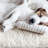 PETMAKER Dog Bed Replacement Cover-443007814-501319946