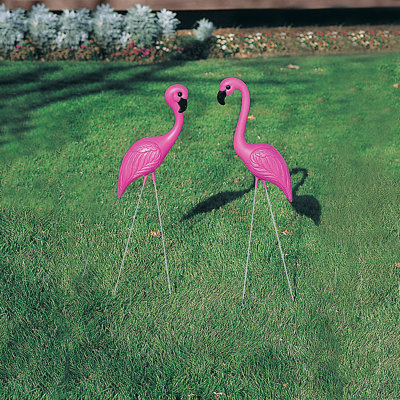Decoration