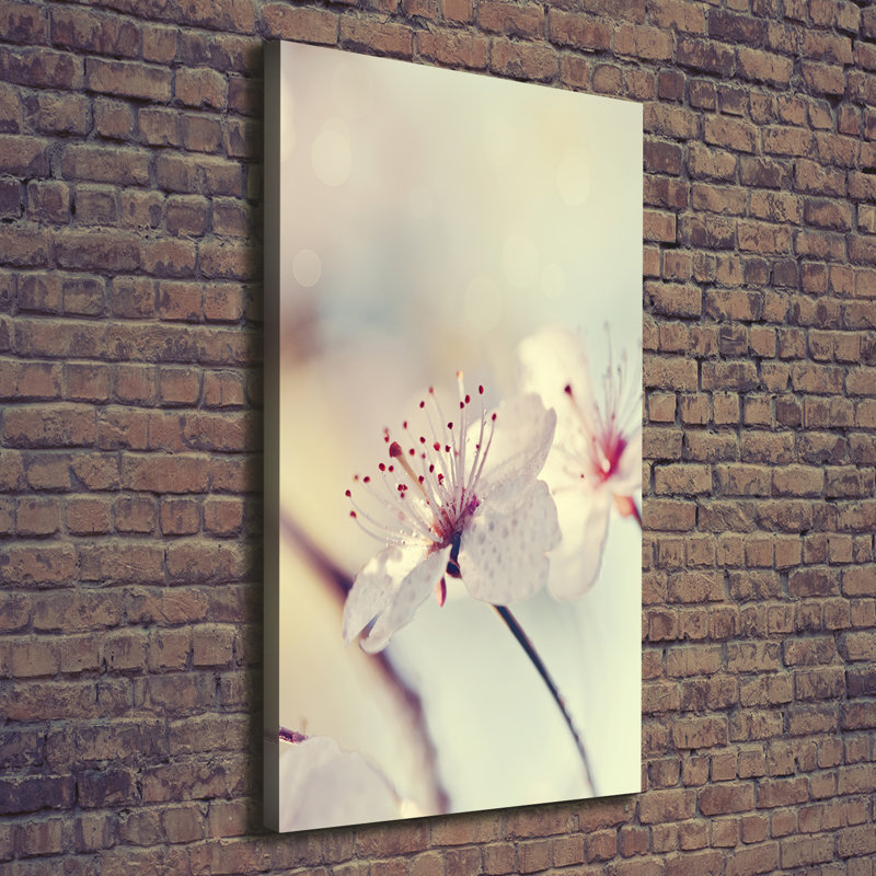 Cherry Blossoms - Wrapped Canvas Print
