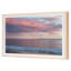 Butterfly Beach Print by Werder, Lillis-1667915947-1667915946