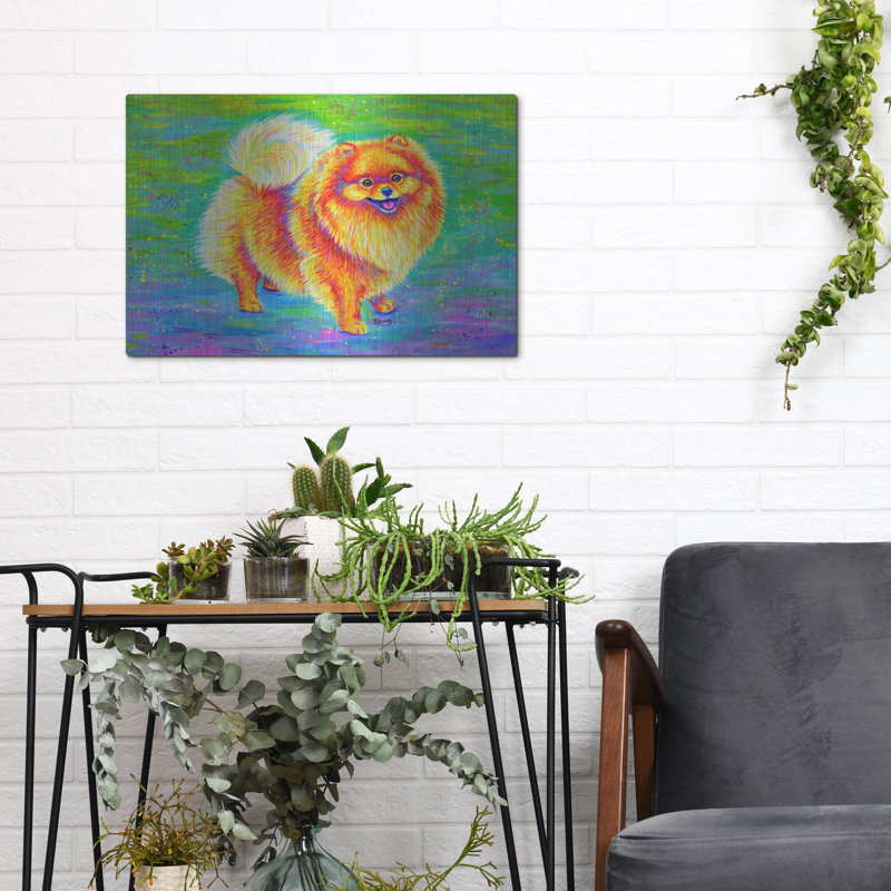 «Rainbow Pomeranian» par Rebecca Wang Art, H 12 po x l 16 po