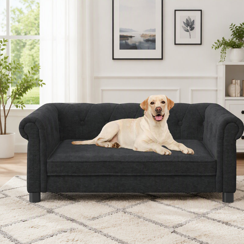 durable elevated dog sofa bed, Black
