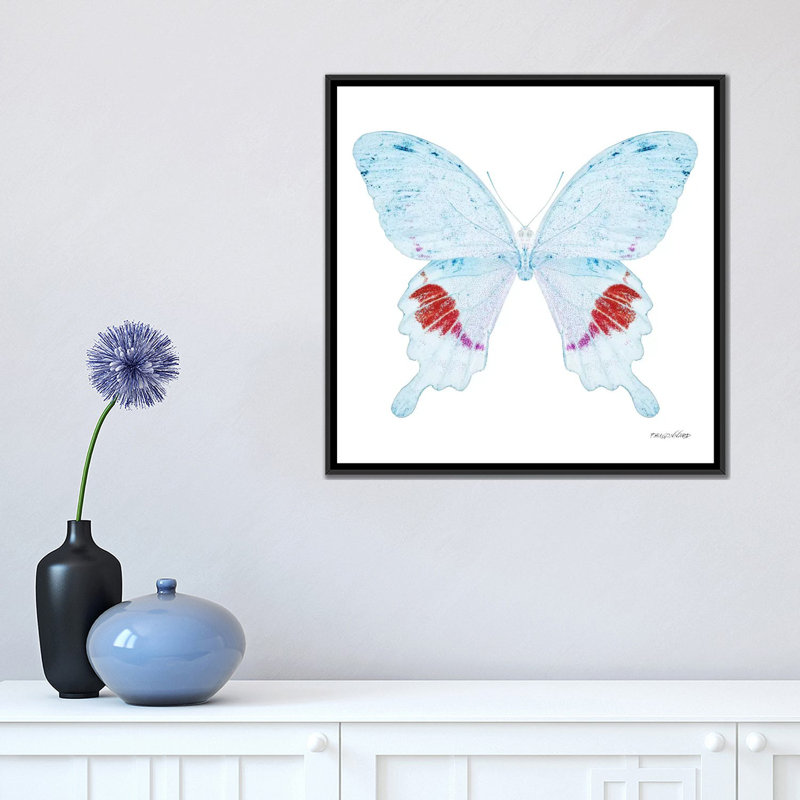 « miss papillon x-ray xxii », impression sur toile, H 18 po x l 18 po x P 1,5 po, Toile avec cadre noir