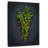 Harnek Fresh Thyme Sprigs