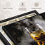«Misty Whiskey On Ice»-2090084584