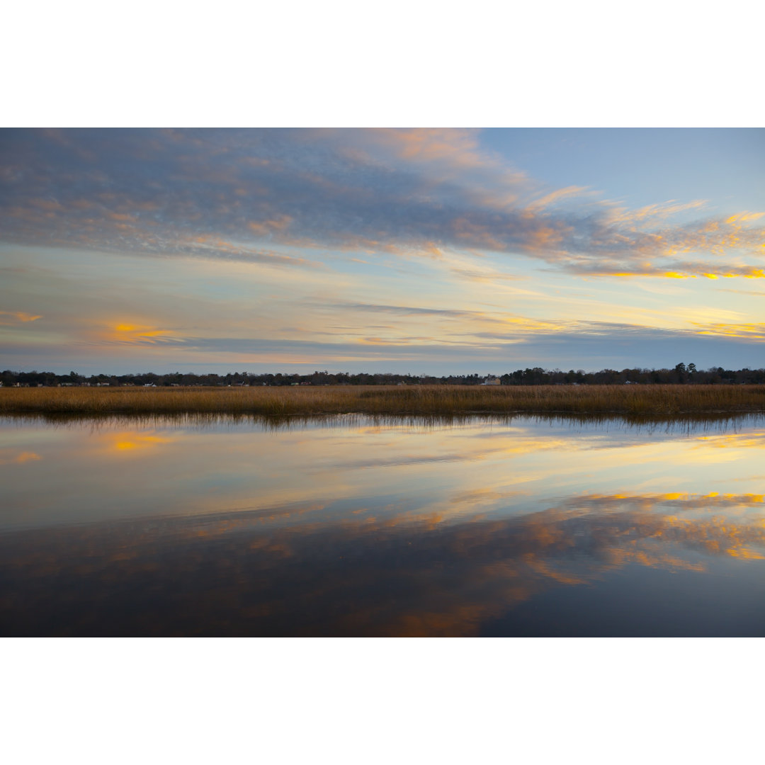 South Carolina Marsh von DaveAlan - Leinwand Kunstdrucke