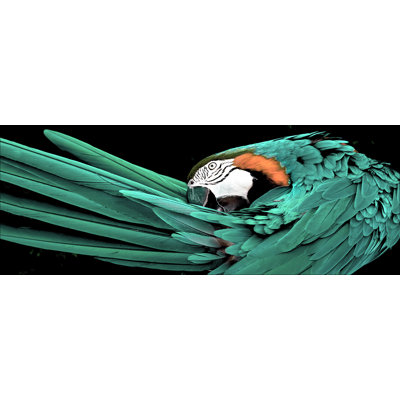 Green Parrot - No Frame Print on Float Glass