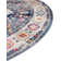Oriental Indoor Rug