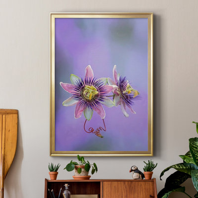 Exotic Flower Burst II, reproduction encadrée de qualité supérieure - Prêt à être accroché_2856482
