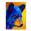 « black bear cub 2 », reproduction sur toile tendue-21935792