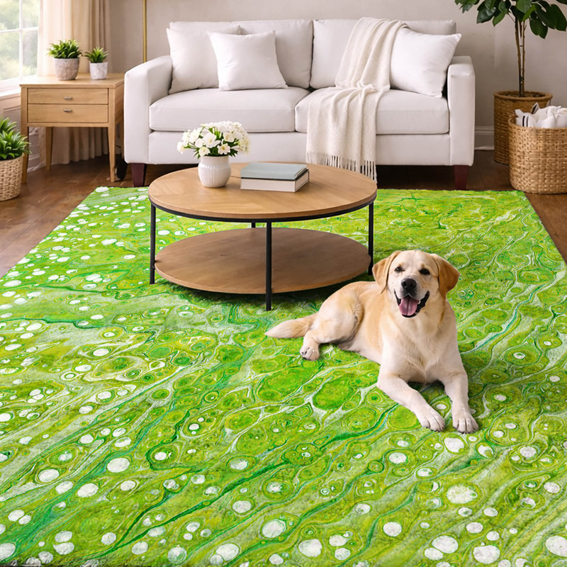 Premium Machine Washable Dream Shag Zebra Rug, 5' x 7'6"