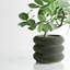 8 po Jardinière Triple Bubbles-137721275-137721279