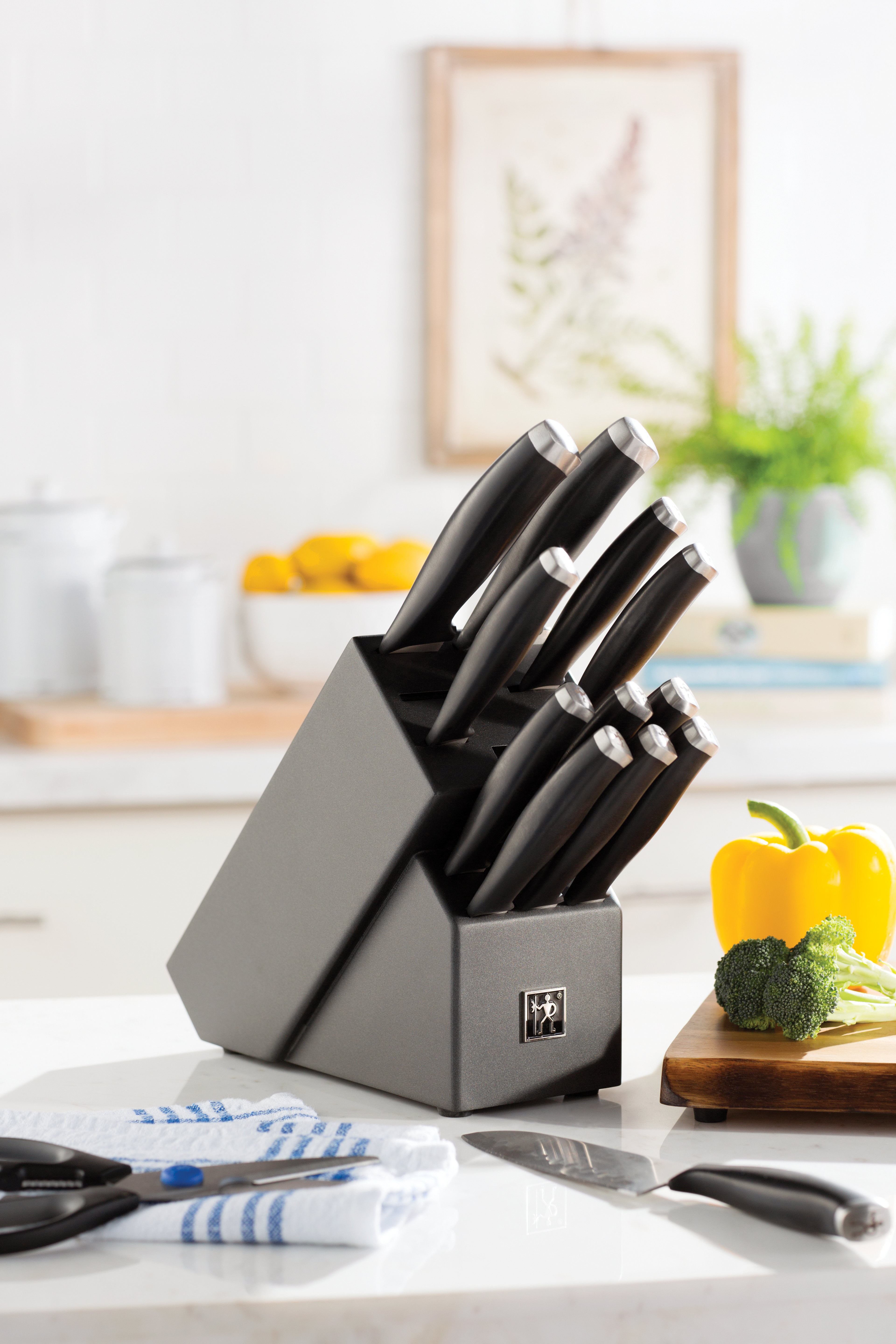 HENCKELS Henckels Silvercap 14piece Knife Block Set & Reviews Wayfair