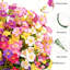 Arrangement